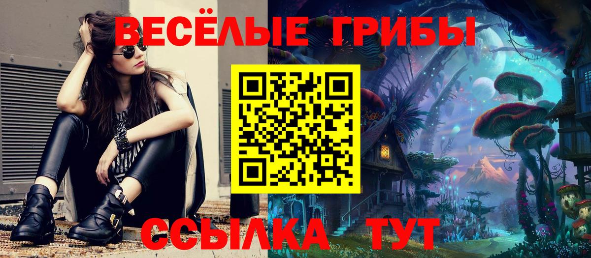где купить наркоту  Псилоцибиновые грибы Cubensis  Верхняя Салда  Вход с VPN  Галлюциногенные грибы мицелий 