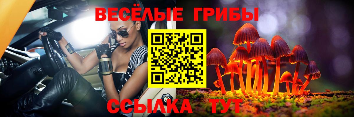 Псилоцибиновые грибы GOLDEN TEACHER Верхняя Салда
